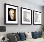 PREMIUM WOODEN+PS FRAME – READY TO HANG